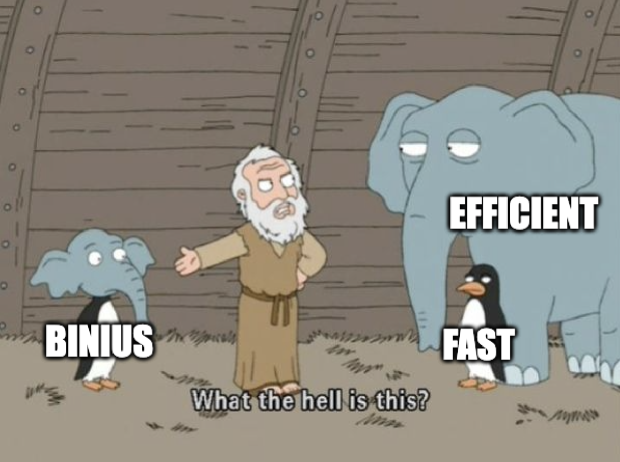 Fast and efficient, Binius!